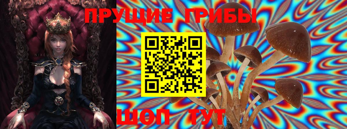 где купить наркоту  Вход с VPN  Рубцовск  Псилоцибиновые грибы мухоморы 